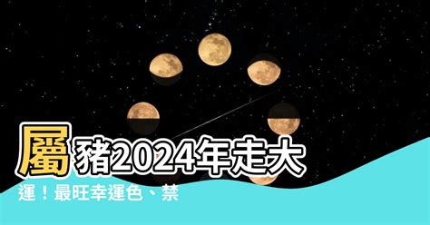 1971豬幸運色2024|屬豬人必看：2024旺運色